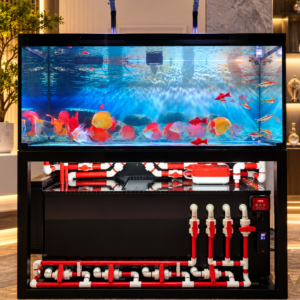 Bể cá 1380 x 690 x 750 hệ Show ống đỏ phụ kiện trắng – Thiết kế hiện đại, nổi bật