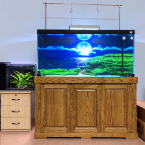 Bể cá 1280 x 650 x 750 khung lim ốp gỗ sồi – Thiết kế sang trọng, chắc chắn